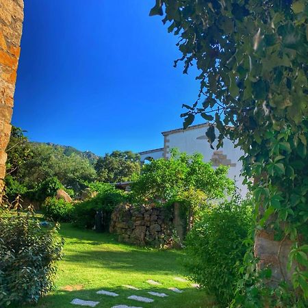 Agriturismo Casteddu Padru Eksteriør bilde