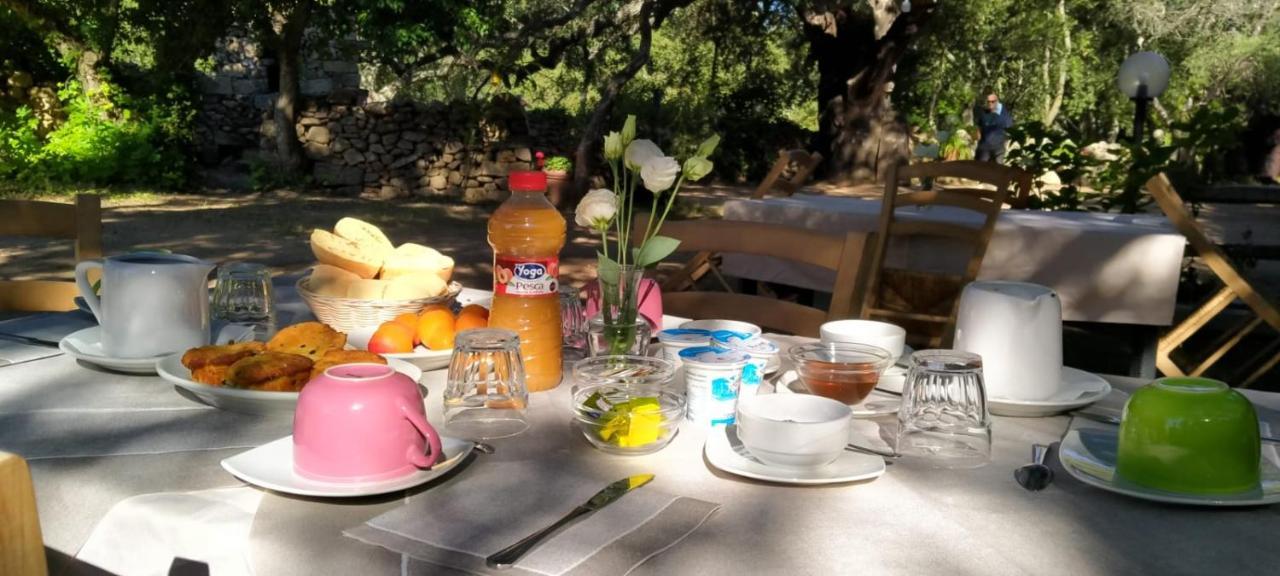 Agriturismo Casteddu Padru Eksteriør bilde