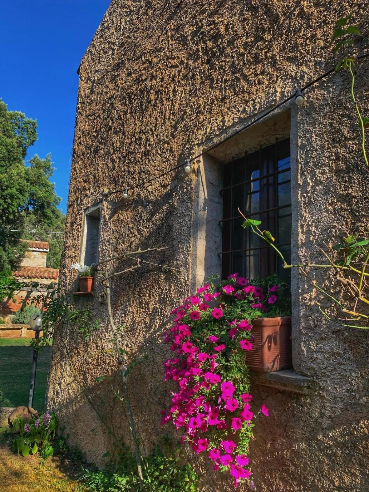 Agriturismo Casteddu Padru Eksteriør bilde
