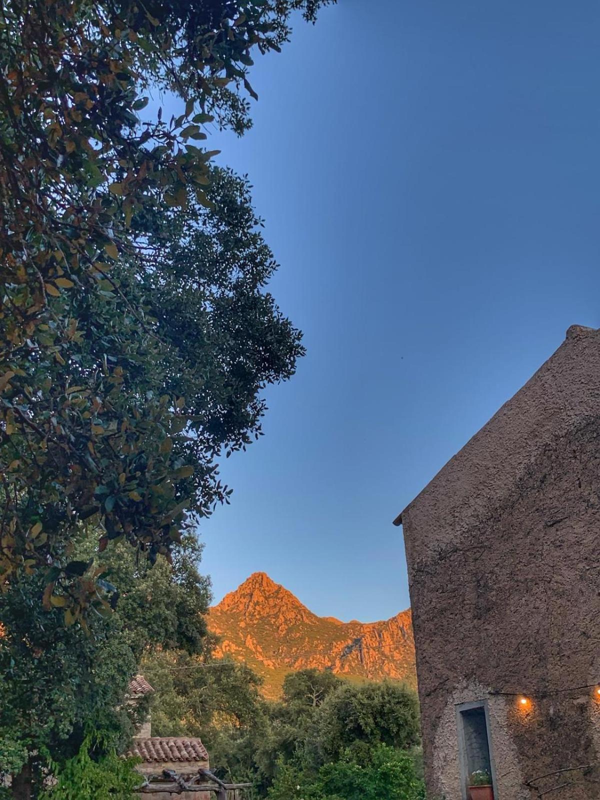 Agriturismo Casteddu Padru Eksteriør bilde